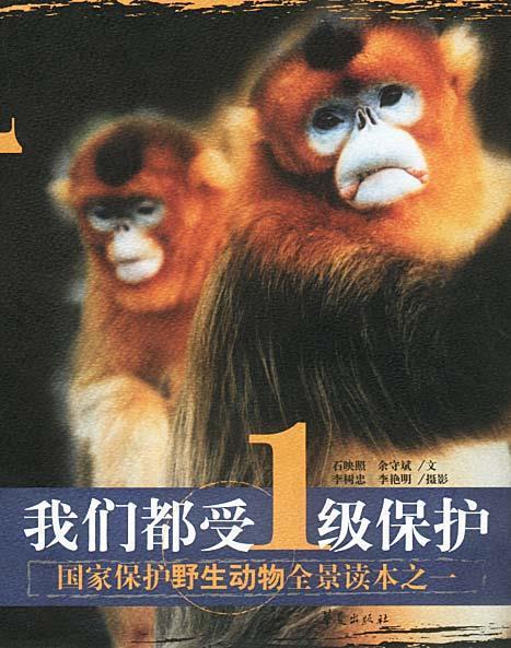 我们都受1级保护