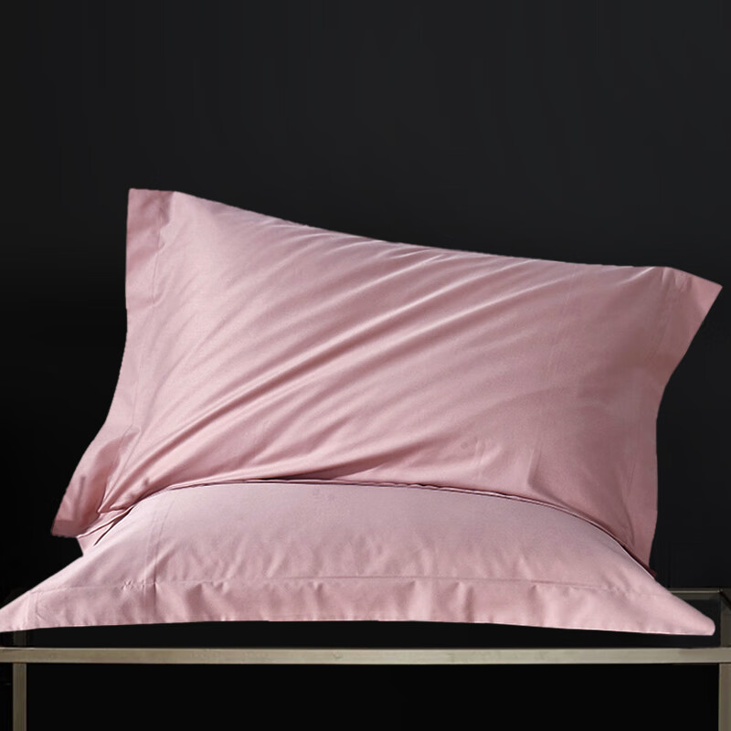 门口外卖架子 大号枕头套50x80纯棉一对五星级酒店专用60x85x90大 40