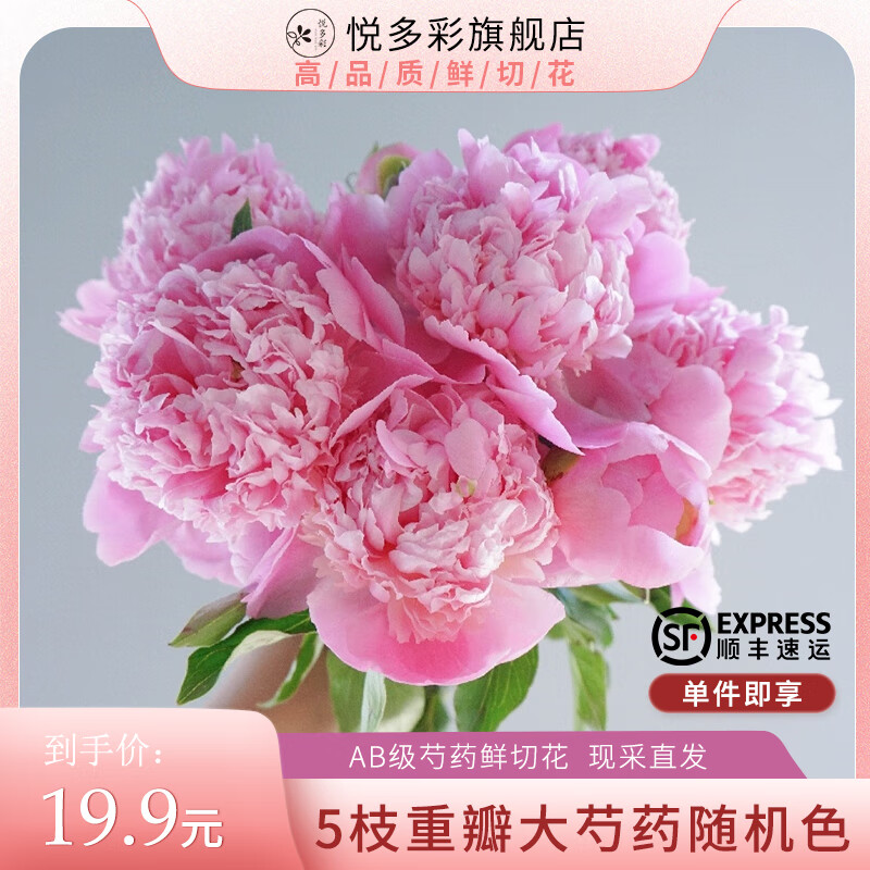 京东如何看生活鲜花历史价格|生活鲜花价格走势图