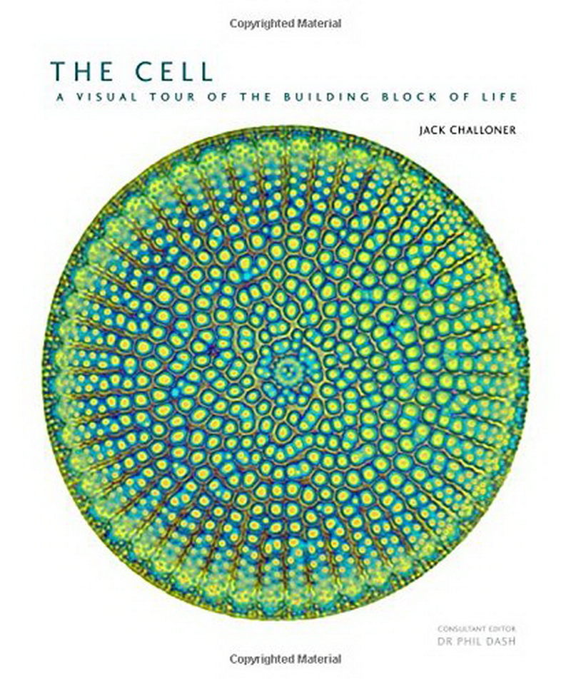 The Cell 細胞