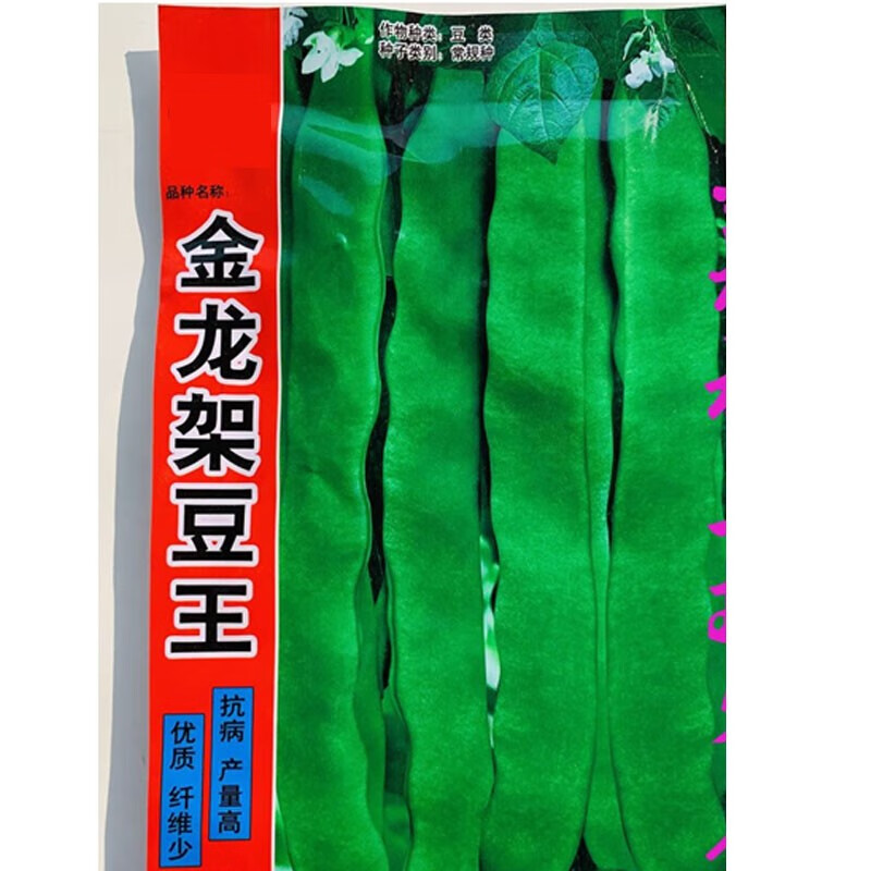春枝韵四季豆种子金龙架豆王种子荚扁豆种嫩绿色高产种籽果荚无筋品质