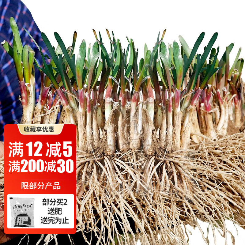 怎么查蔬菜类的历史价格|蔬菜类价格走势图