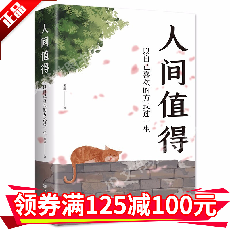 【无货下架】人间值得以自己喜欢的方式过一生积极健康正能量感受人生哲学生活智慧心灵鸡汤成功励志树立人生方向书籍