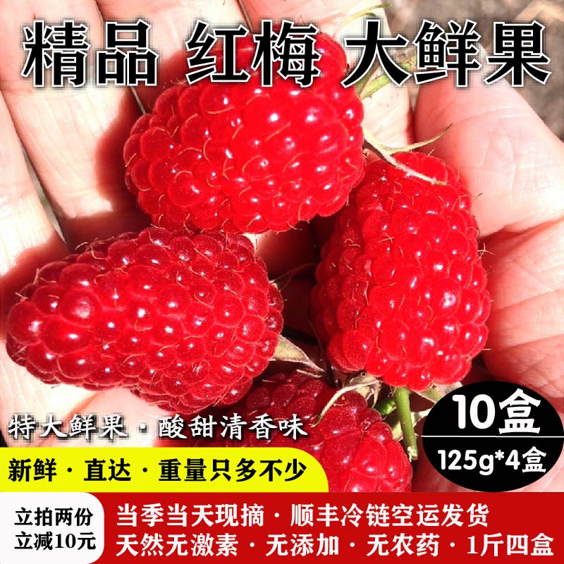 文枝天然新鲜红树莓刺黑莓鲜果树莓覆盆子桑葚鲜果山莓果蓝莓果1250g