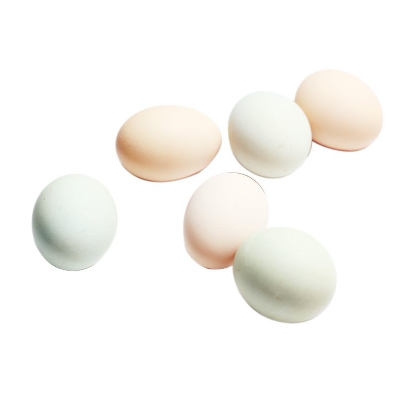 有机汇散养鸡蛋30枚装价格走势及产品介绍|蛋类近期价格走势如何