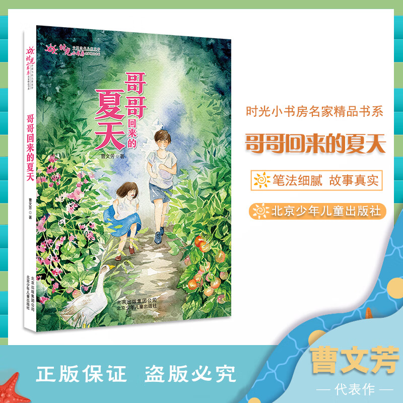 哥哥回来的夏天曹文芳北京少年儿童