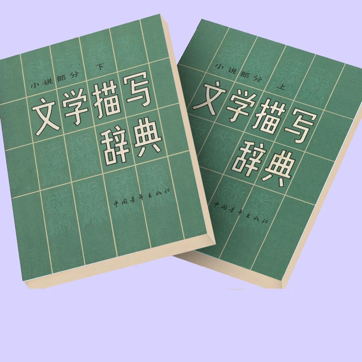 文学描写辞典小说部分上下两册