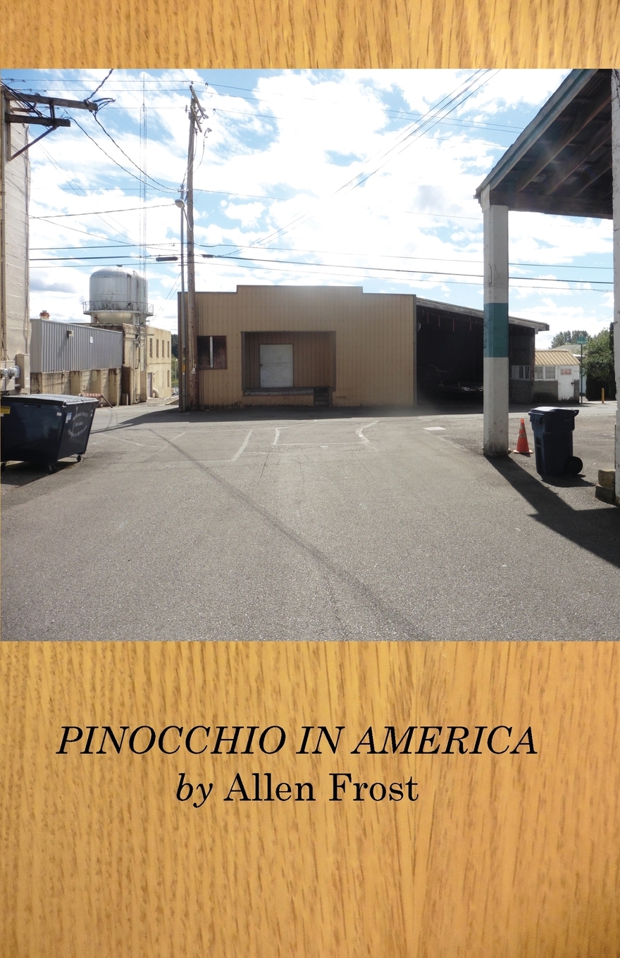 预售 按需印刷 pinocchio in america