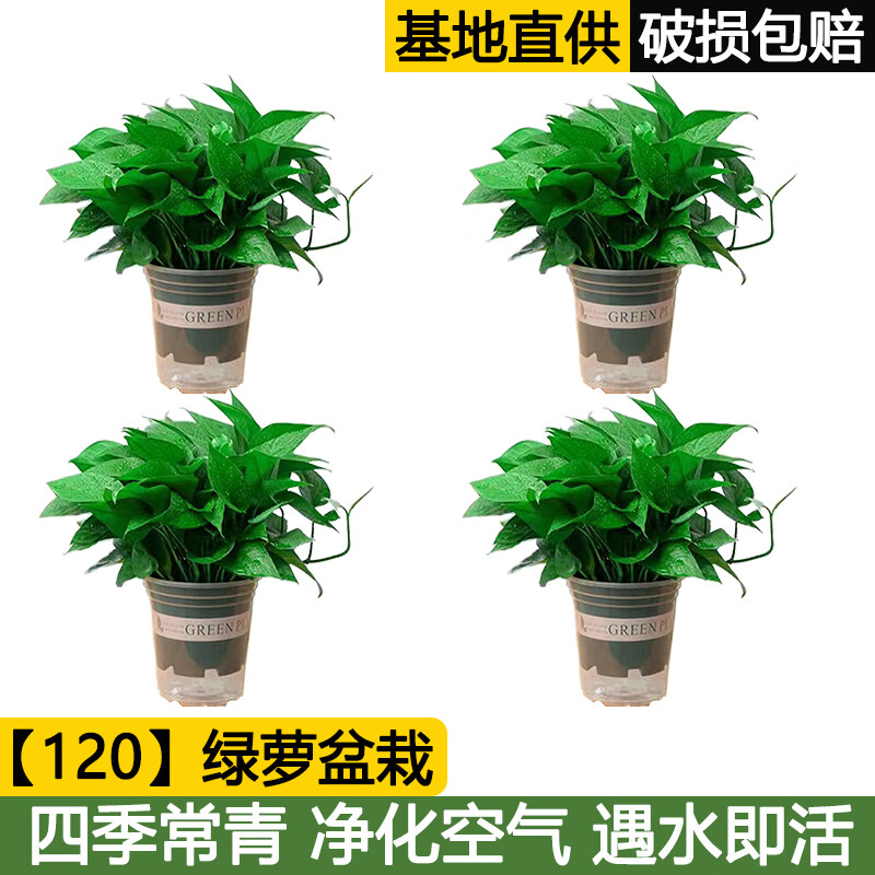 京东新品首发 2023-05-12 - 第9张  | 最新购物优惠券