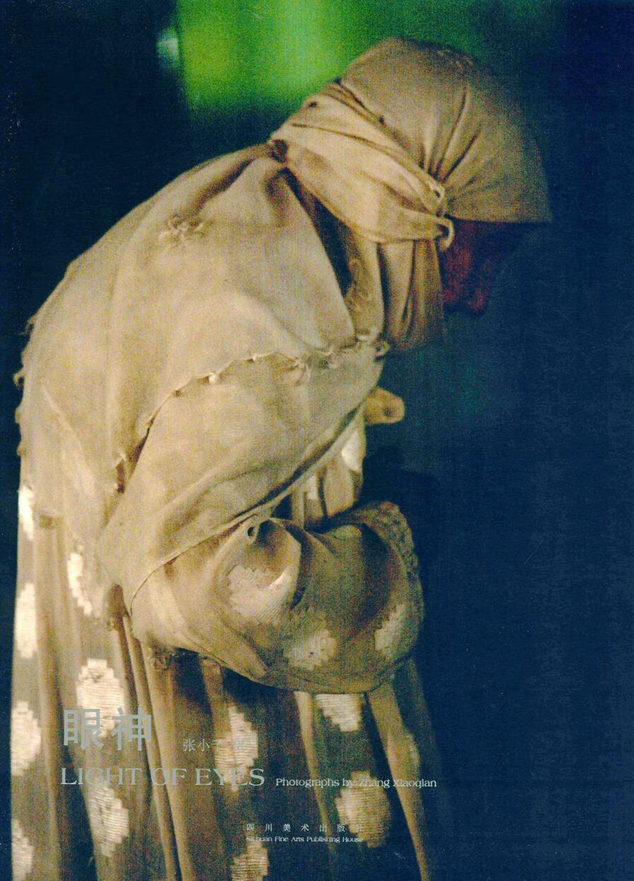 眼神 9787541059865  张小