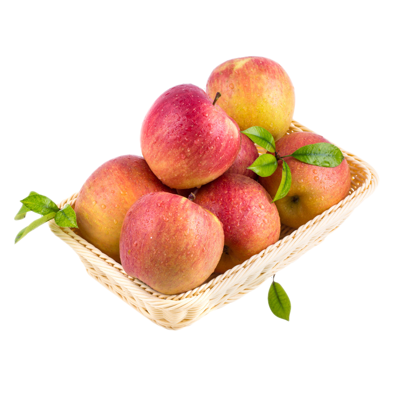 驕瑰新疆直發(fā)阿克蘇冰糖心蘋(píng)果時(shí)令 蘋(píng)果當(dāng)季新鮮水果禮盒裝 4500g 95mm以上(果王禮盒裝12枚果子)