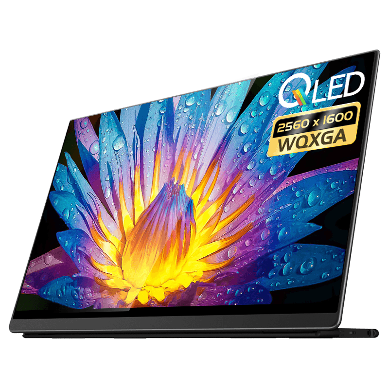 EHOMEWEI Яʽʾ 16Ӣ QLED 4.5K/2.5Kֱ ֻMacbookչ/Switchʾ Ļ  Q216Ӣ QLED 2.5K ذ