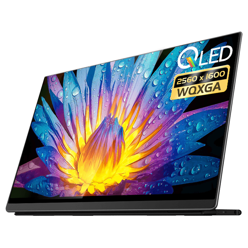 EHOMEWEI 便携式显示器 16英寸 QLED 2.5K分辨率 手机电脑拓展switch外接屏幕 【Q2】16英寸 QLED 2.5K 触控版