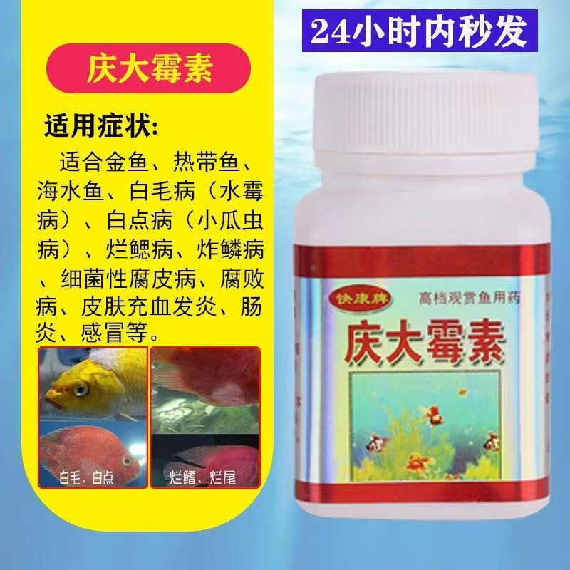 黄粉土霉素锦鲤金鱼白点烂尾烂鳍肠炎蒙眼寄生虫水霉杀菌 庆大霉素1瓶