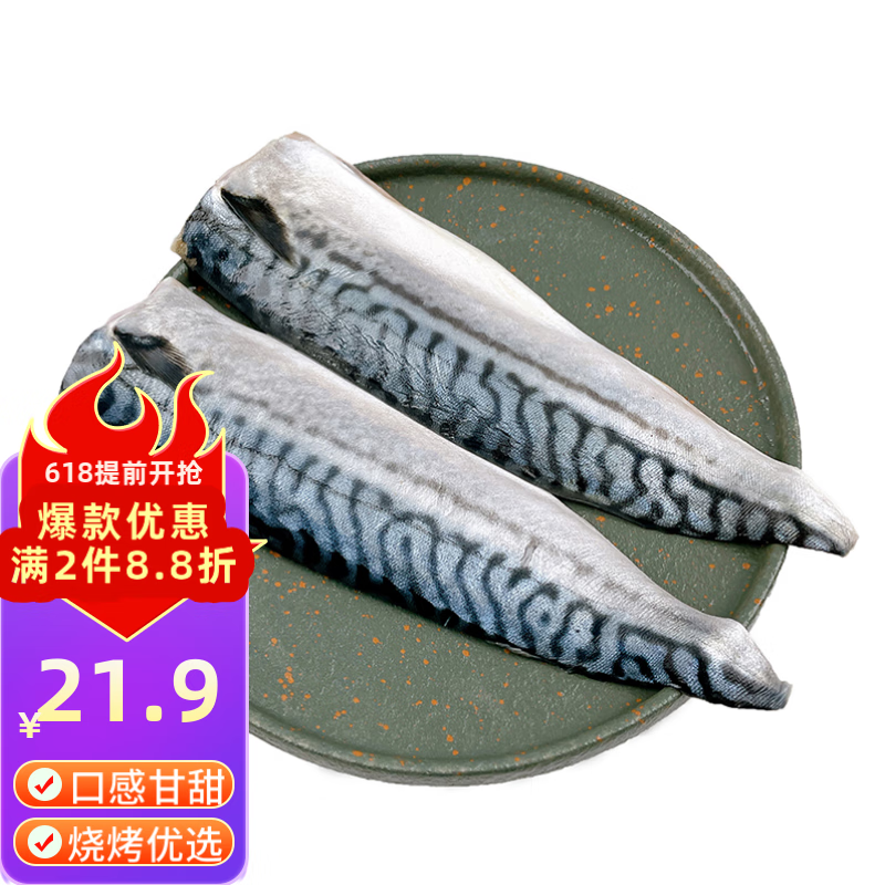 纯色本味 冷冻挪威青花鱼片 鲭鱼片 日料 烧烤  2-3片 300g/袋