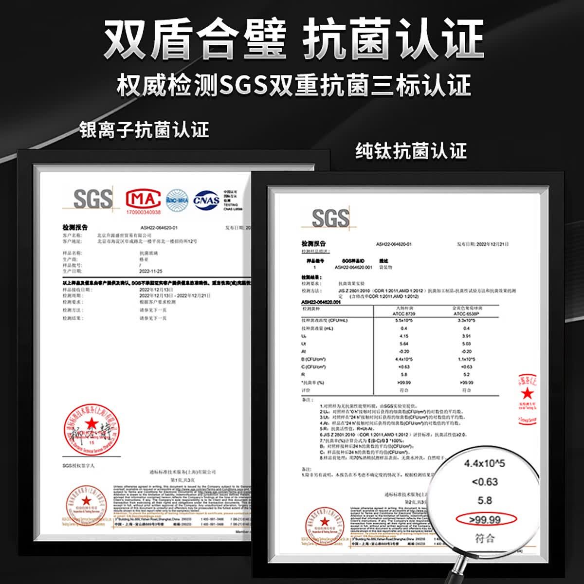 格亚（GEYA）AG+纯钛抑菌双层玻璃杯银离子抗菌茶杯男商务办公水杯子高档礼盒 Ag+纯钛抗菌款【高档礼盒】400ml