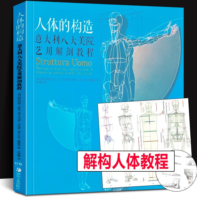 人体的构造 意大利八大美院艺用解剖教程人体动态解剖学艺用人体解剖理解人体形态人体结构解剖学基础教程