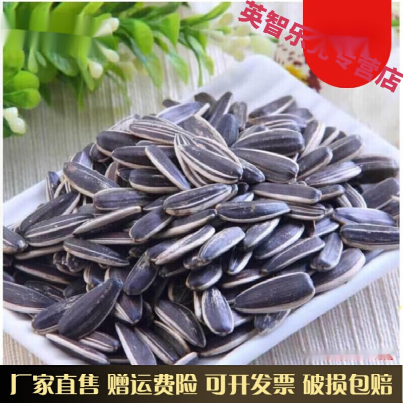巢浩山东特产生原味生瓜子葵花子大粒烘干零食308g采购批发 傅氏纯生