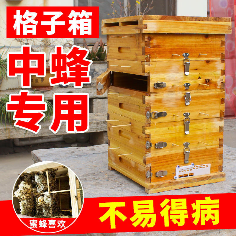 蜂箱老农 中蜂格子箱蜜蜂箱土蜂蜂箱土养箱诱蜂桶峰桶蜂箱全套 【煮蜡五层】格子箱(5个观察窗)