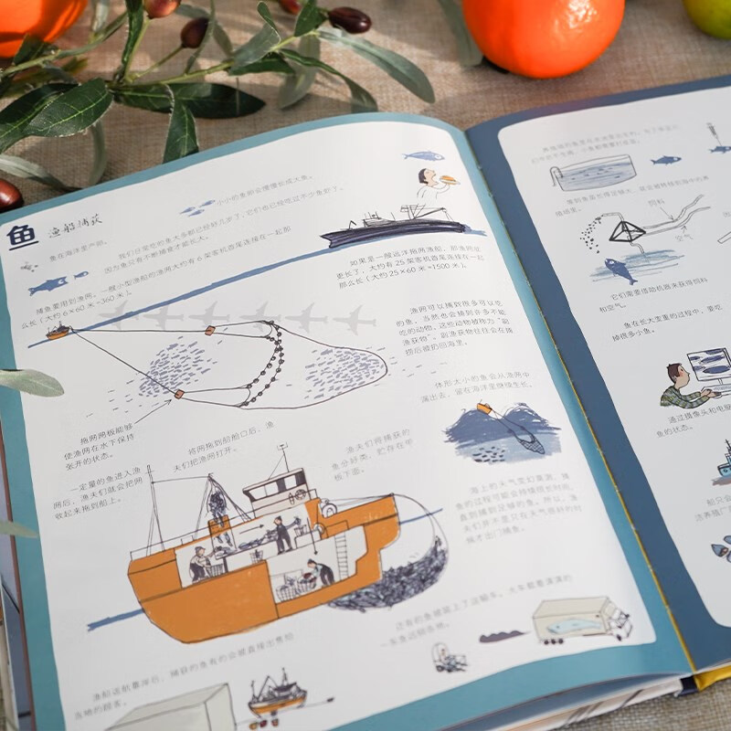 我们的食物从哪里来