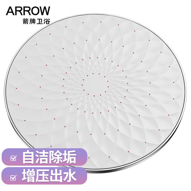 箭牌（ARROW）自洁节水增压淋浴花洒头莲蓬头顶喷头AE5029
