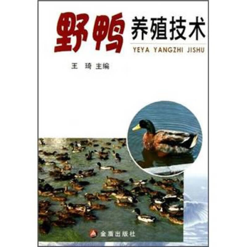 野鸭养殖技术 【,放心购买】