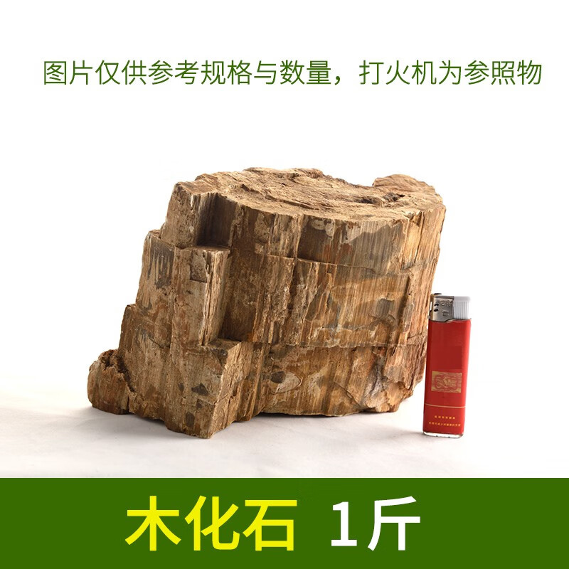 天然木化石原石魚缸造景石草缸假山石水族箱裝飾造景素材木紋理石 木化石1斤