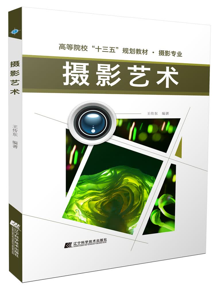 摄影艺术 摄影 王传东编著 辽宁科学技术出版社 9787559109057