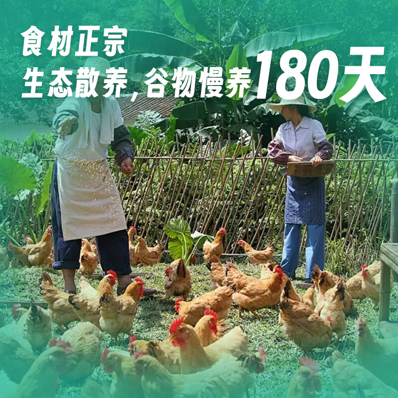 椰顺正宗180天生态散养海南文昌鸡椰子鸡火锅3-4人餐切块2500克礼盒装 全套*1：鸡肉+椰子水+马蹄+蘸酱