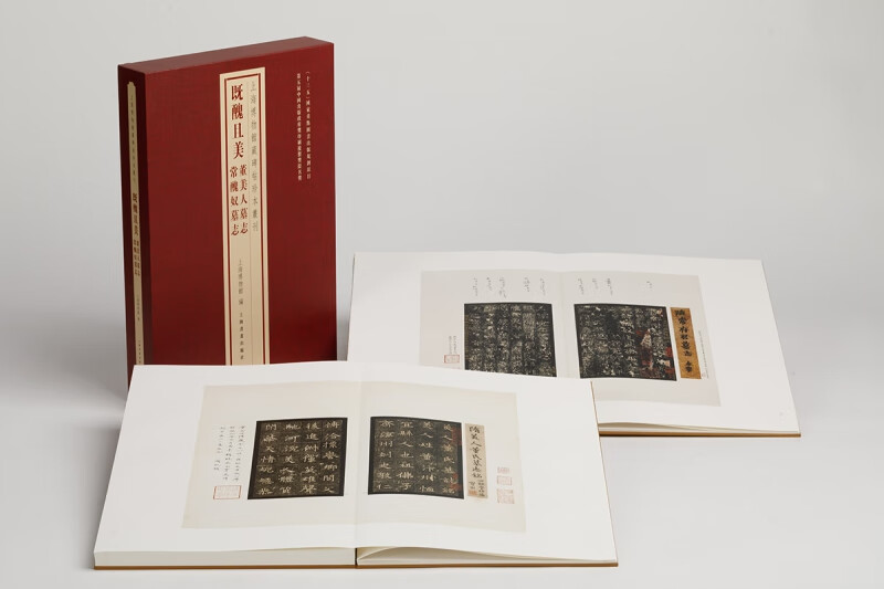 上海博物馆藏碑帖珍本丛刊·既丑且美：董美人墓志 常丑奴墓志