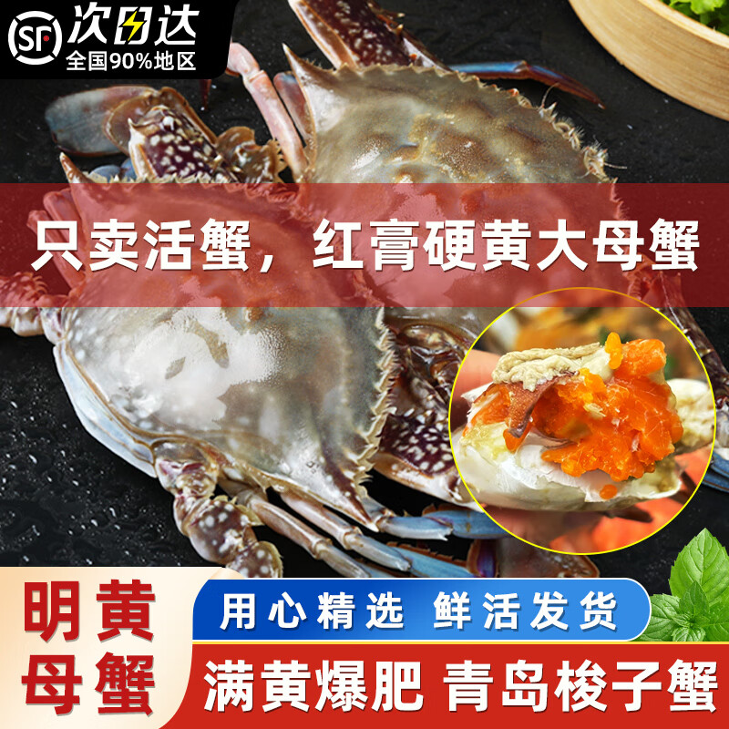 【活蟹發(fā)貨】青島海捕梭子蟹母蟹鮮活海鮮生鮮特大號海螃蟹送禮禮 【當(dāng)季推薦】明黃母蟹3斤5-7只