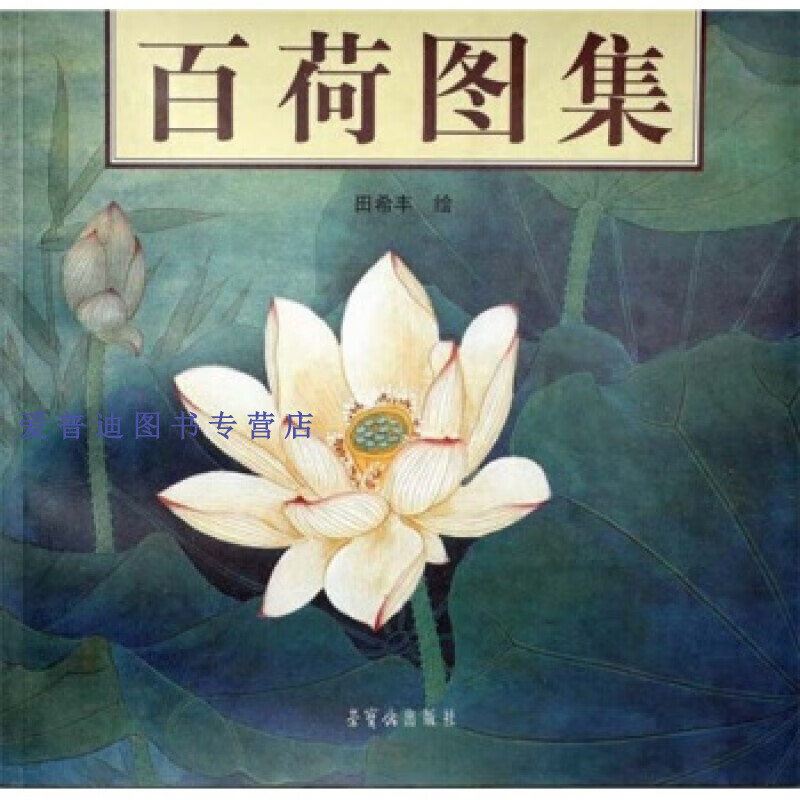 百荷图集 田希丰 绘【正版好书，下单速发】