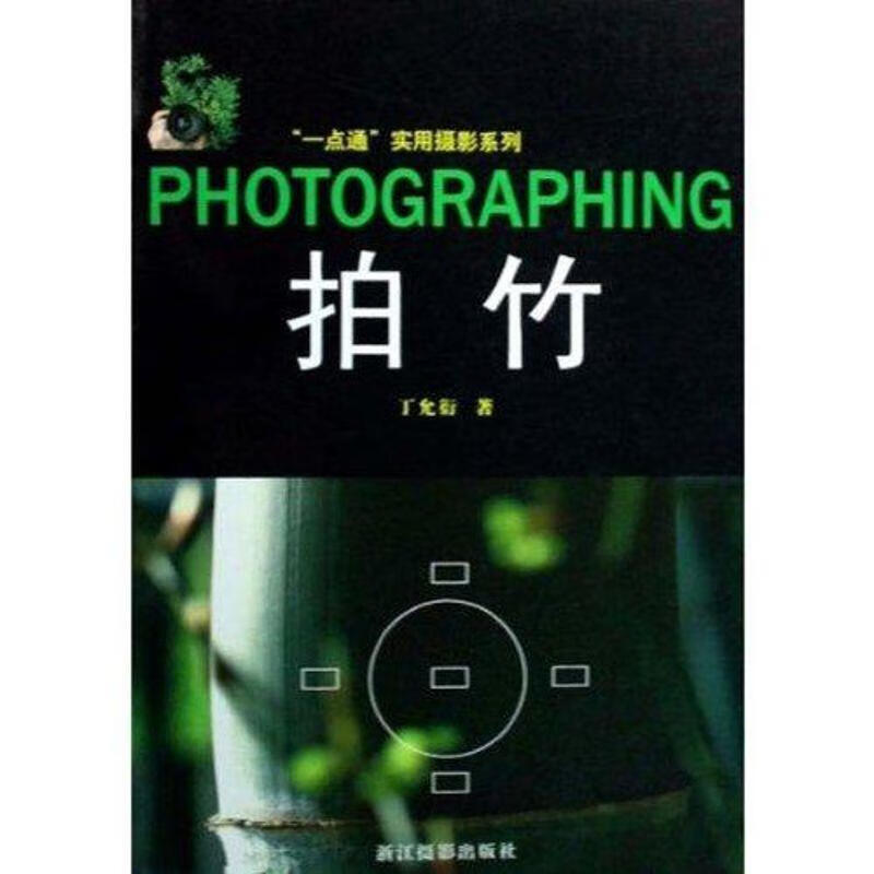 拍竹 丁允衍 著