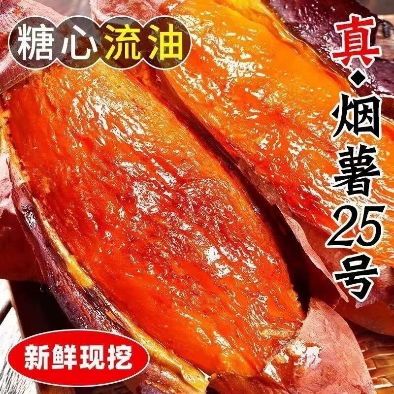 晓筱农场山东糖心蜜薯25号红心烤红薯4.5-5斤装 新鲜烟薯地瓜 新鲜蔬菜