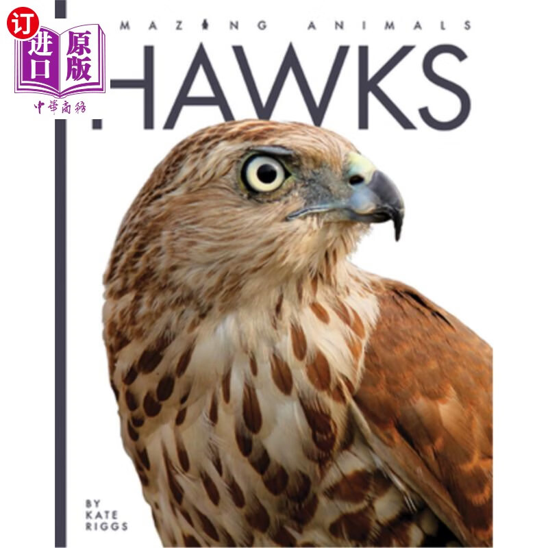 海外直订hawks 鹰派人士