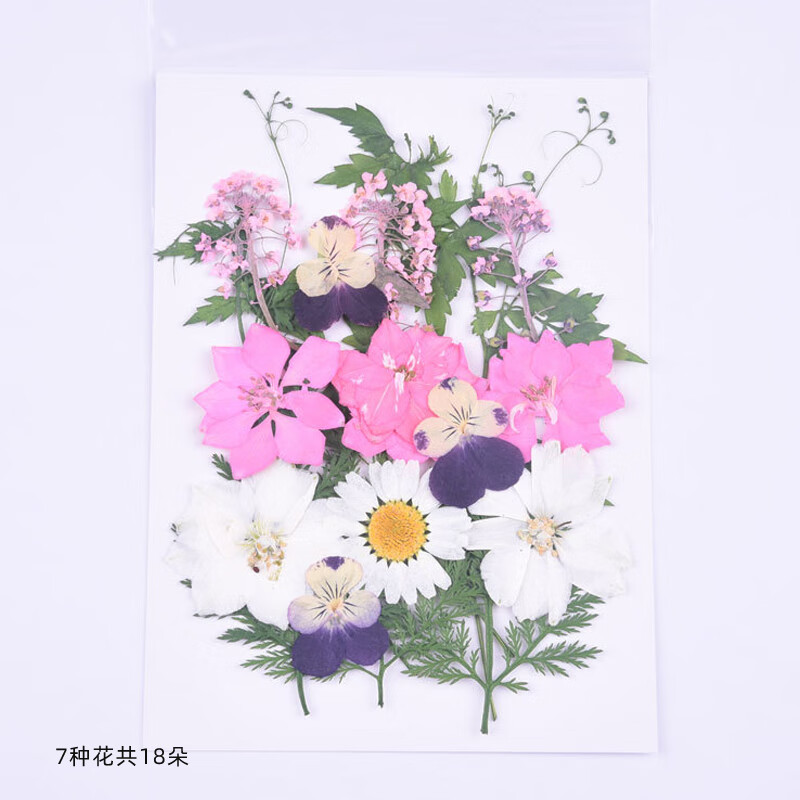 透明小瓶子干花书签材料包幼儿园手工自制真花压花学生用植物标本