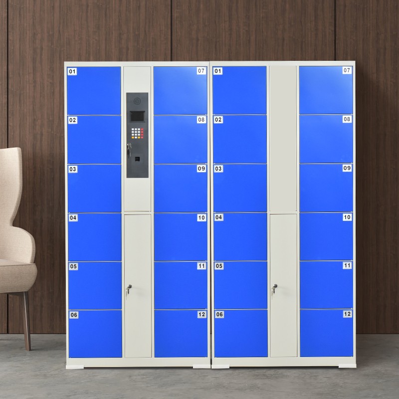 鐵豹電子存包柜超市單位寄存柜商場(chǎng)智能儲(chǔ)物柜存放柜人臉指紋條碼 24門(mén)A款 指紋識(shí)別