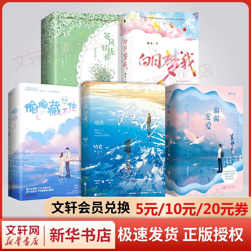 竹已小说实体书 白日梦我+偷偷藏不住+偏偏宠爱+等风轻抚你+难哄