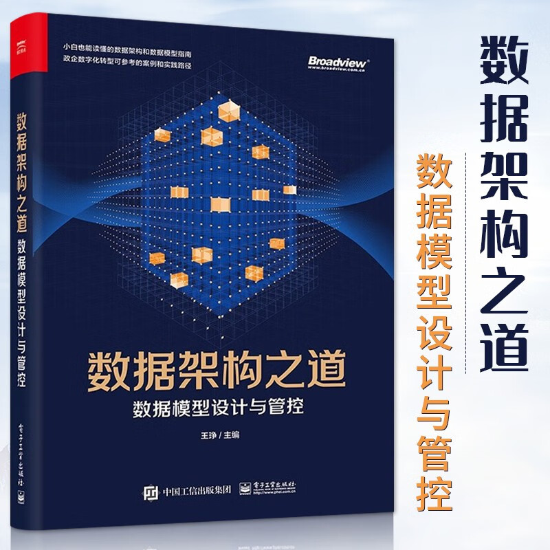 数据架构之道 数据模型设计与管控 电子工业出版社 王琤 著 数据架构与数据建模 范式建模 维度建模 统一星型建模