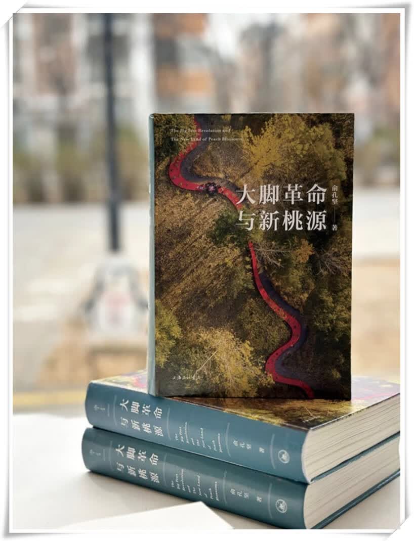 大脚革命与新桃源 经济,法规 , 俞孔坚 著