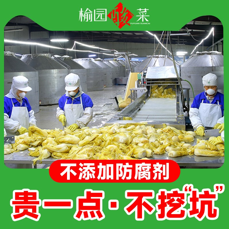 榆园 正宗东北酸菜饺子特产舌尖上的中国酸菜酸菜丝300gx8袋 酸菜丝