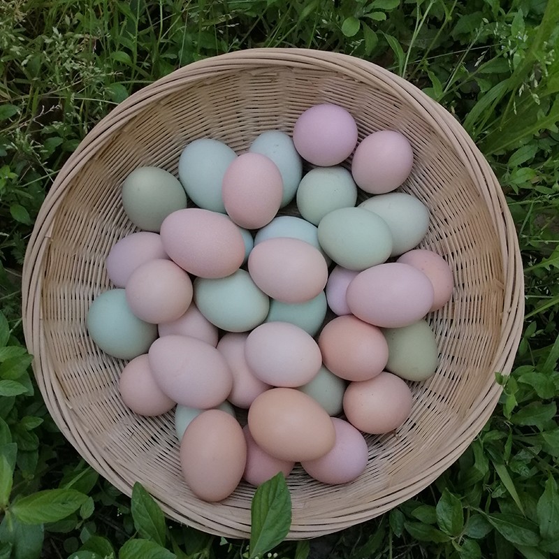 山土御品林地柴鸡蛋 特产绿壳乌鸡蛋农家土鸡蛋30枚装送礼 山土五彩蛋 30枚 1.5kg