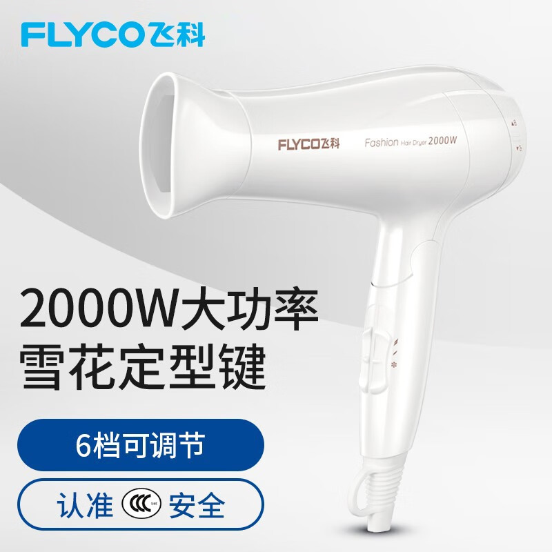 飞科（FLYCO）FH6232电吹风机家用大功率发廊负离子吹风筒冷热2000W 远山白