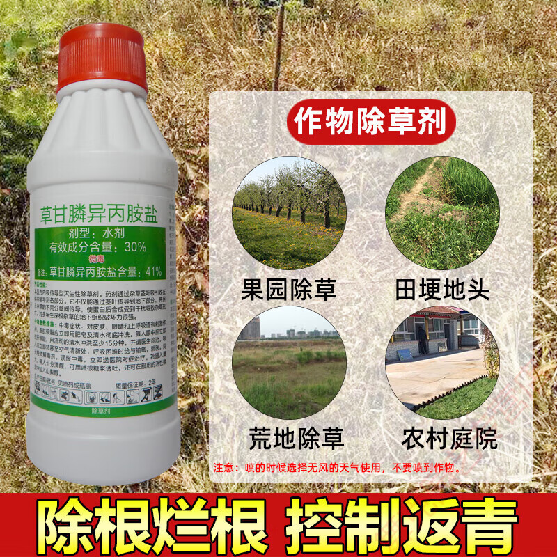 41%草甘磷膦除草剂大树烂根杀草药除杂草灭草剂果园田埂荒地庭院 200g
