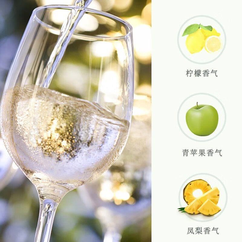 天帕智利中央山谷原瓶进口13度霞多丽干白葡萄酒750ml*6瓶整箱装 霞多丽两支装