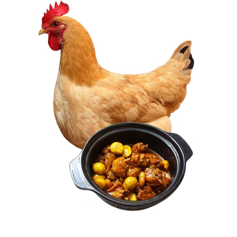 筱诺 土鸡三黄鸡走地鸡笨鸡整鸡 750g/只 生鲜 3只装