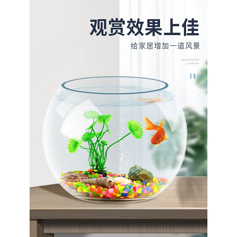 溥畔泽名家玻璃金鱼缸桌面创意小型家用迷你圆形办公室 15cm球形鱼缸