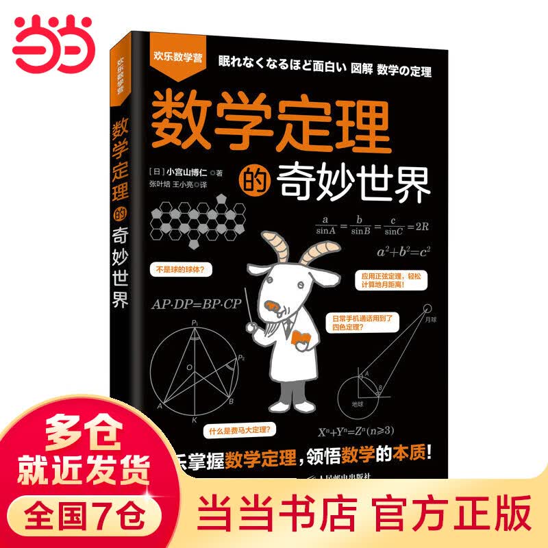 数学定理的奇妙世界