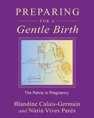 预订preparing for a gentle birth: the pelvis in preg