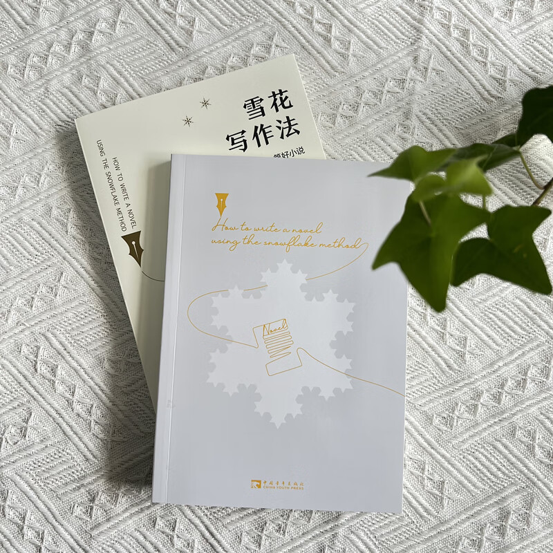 雪花写作法 10步写出一篇好小说 图书